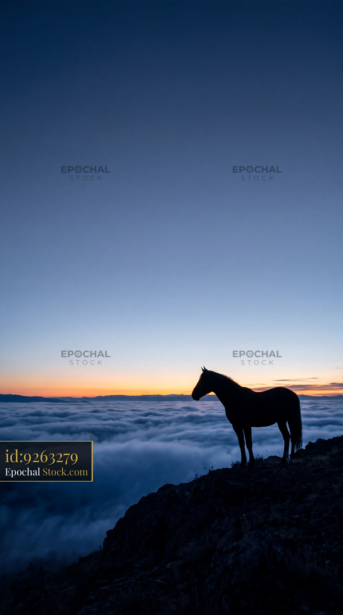 Horse silhouette at sunset on a mountain ridge above the clouds - stock photo