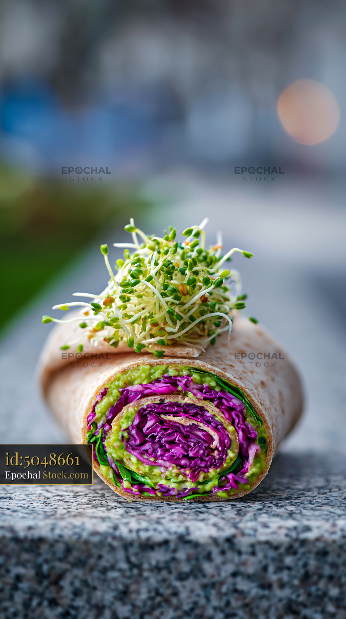 Healthy vegetable wrap with red cabbage and sprouts on a stone bench - stock photo