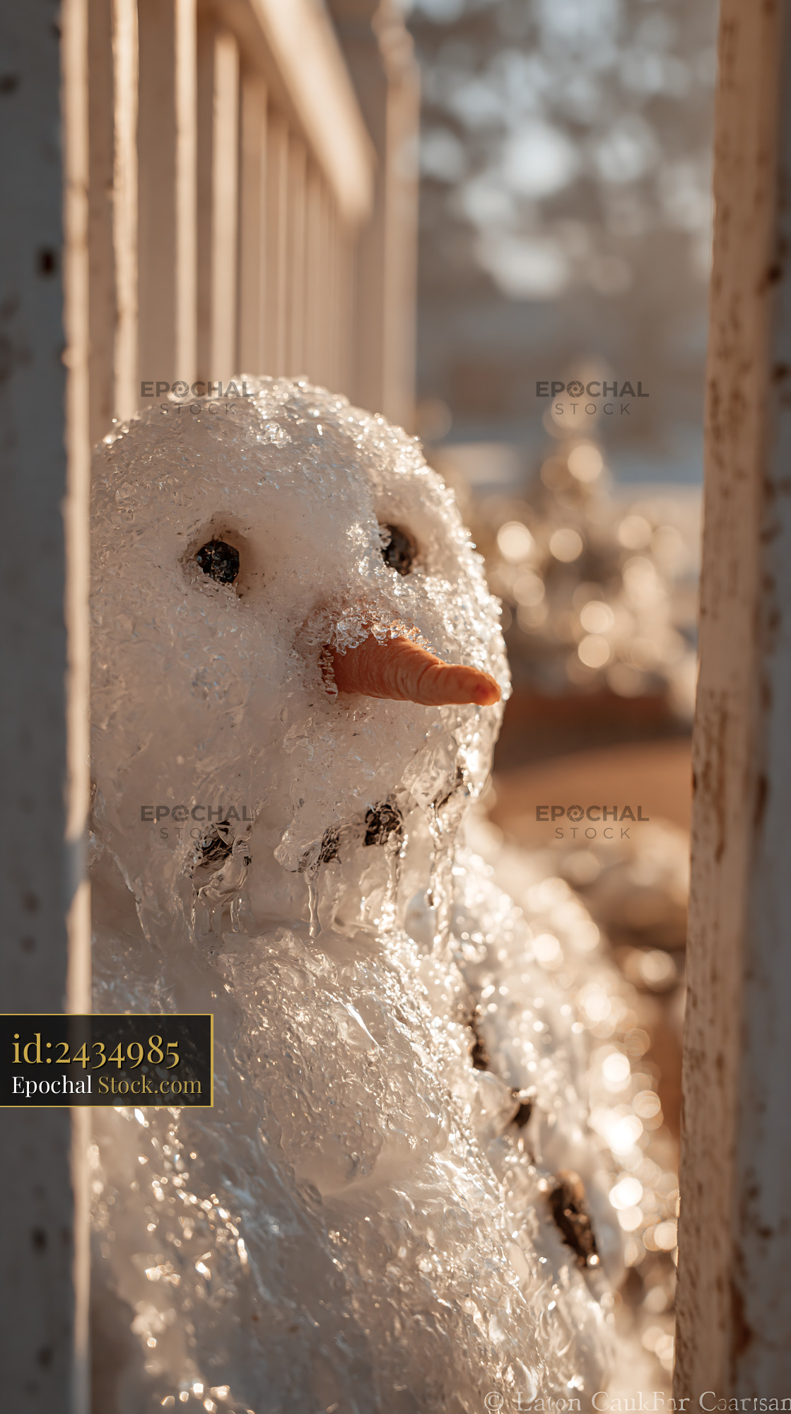 Melting snowman head glistening in warm spring sunlight behind a fence