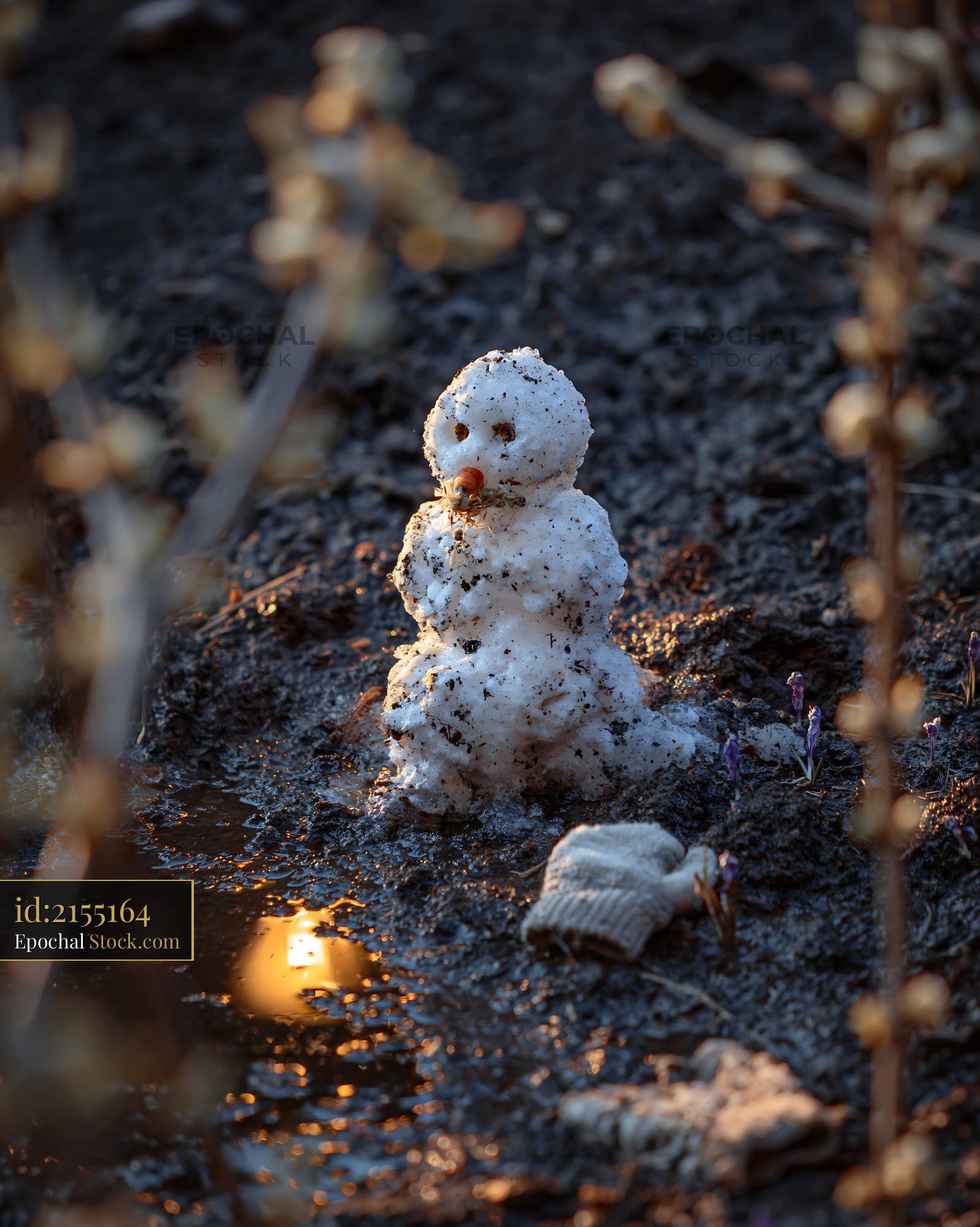 Small melting snowman in muddy garden during spring golden hour - stock photo