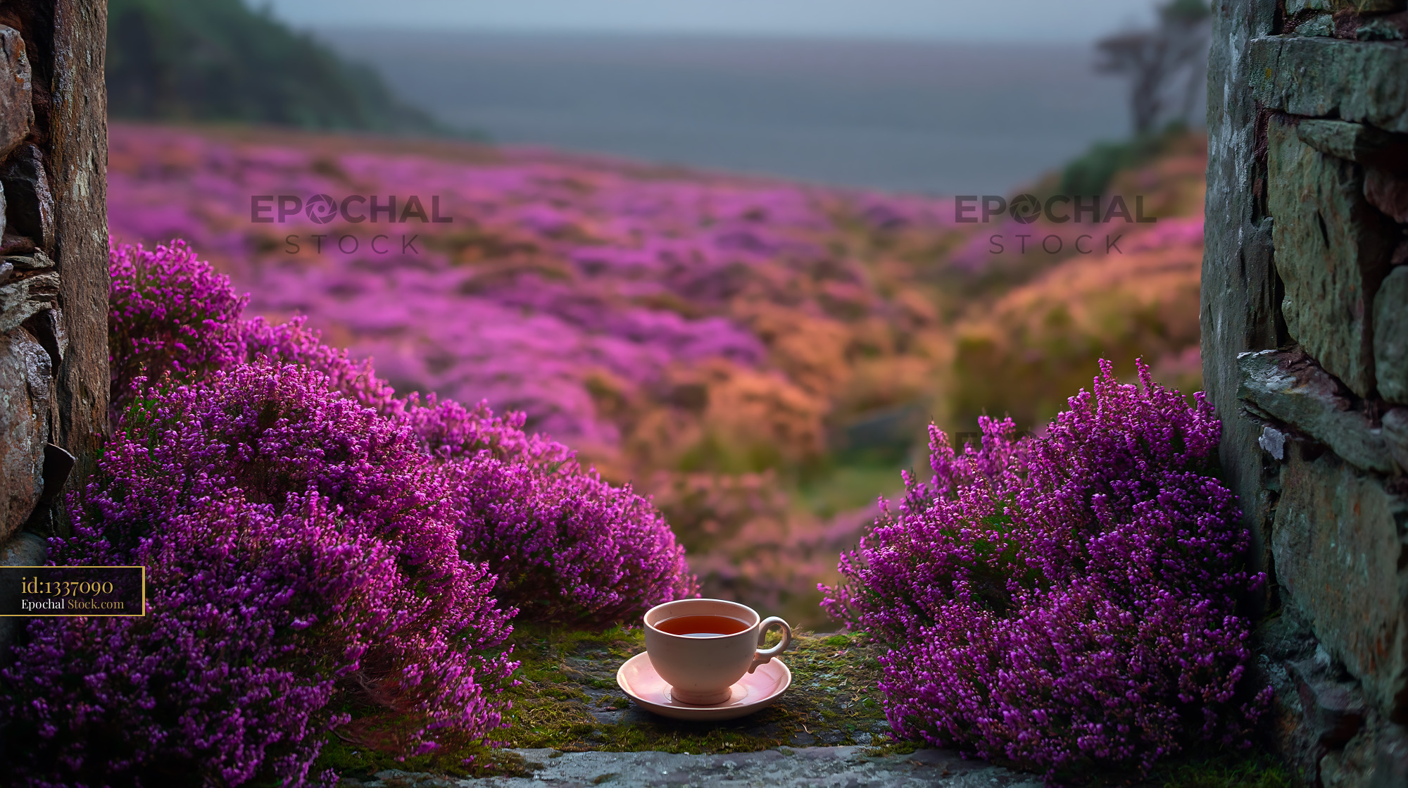 Cup of tea on a stone ledge overlooking a field of blooming heather