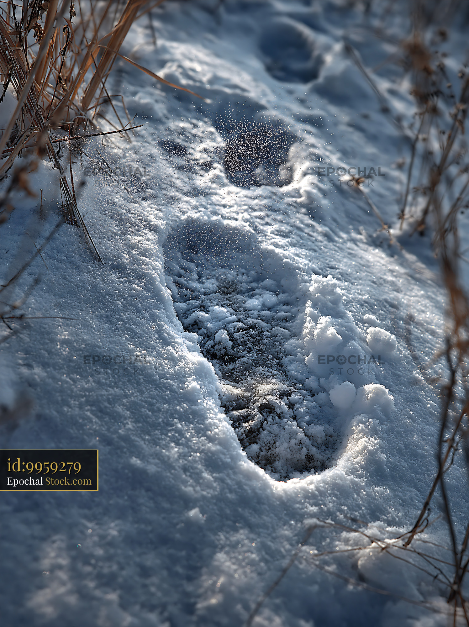 Single boot print in fresh deep snow during a sunny winter day - stock photo