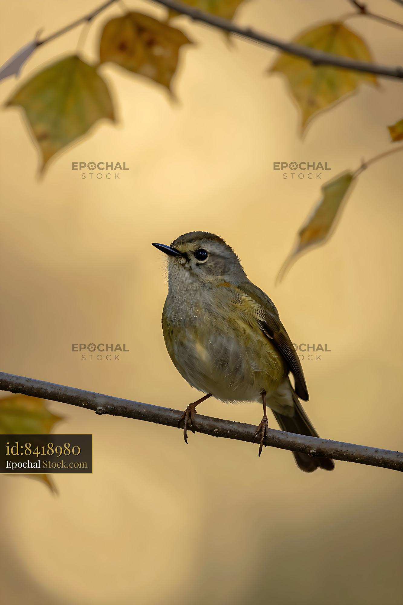 Small firecrest bird perching on a branch among golden autumn leaves - stock photo