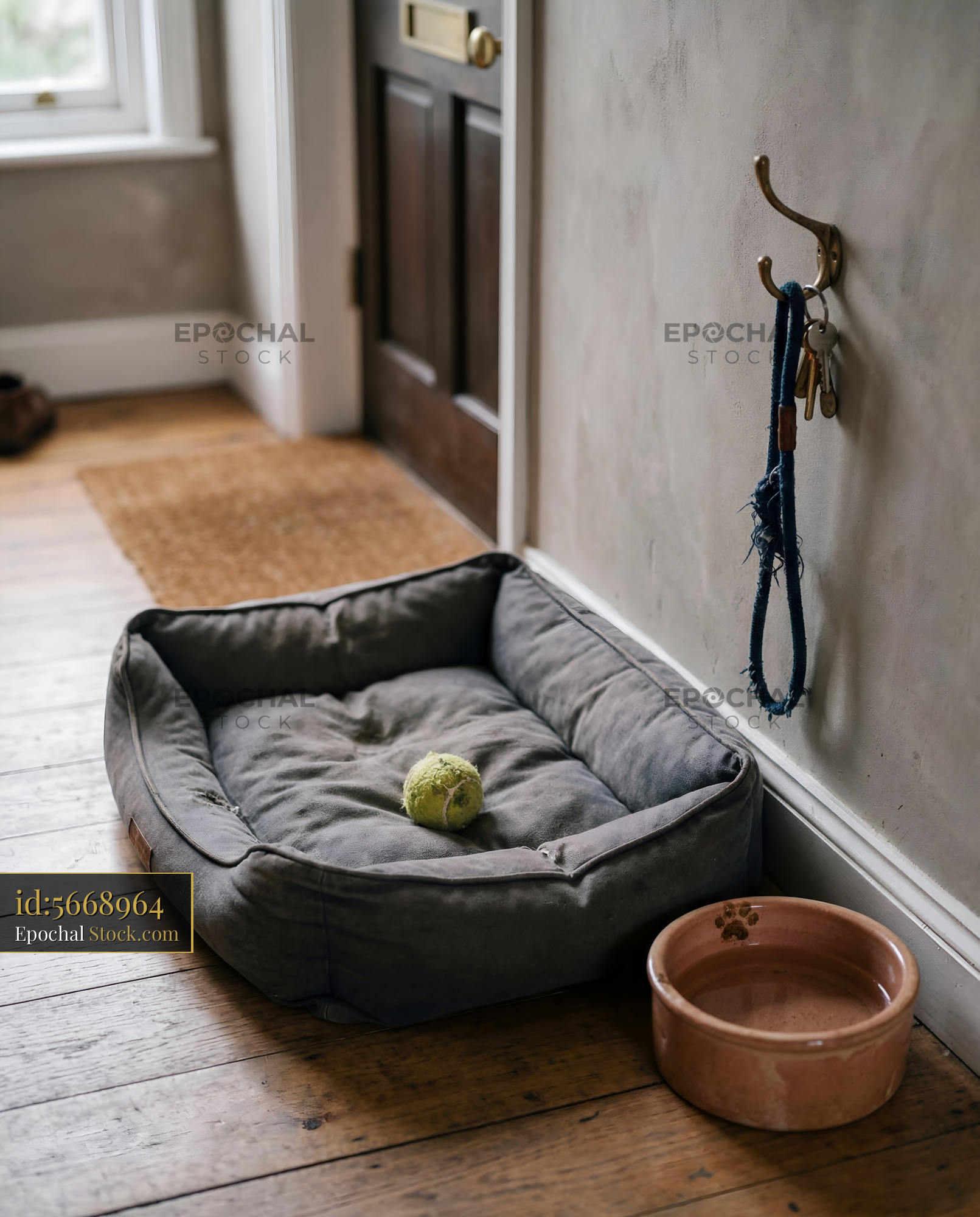 Dog bed with a tennis ball in a home hallway setting Premium Stock Photo - stock photo