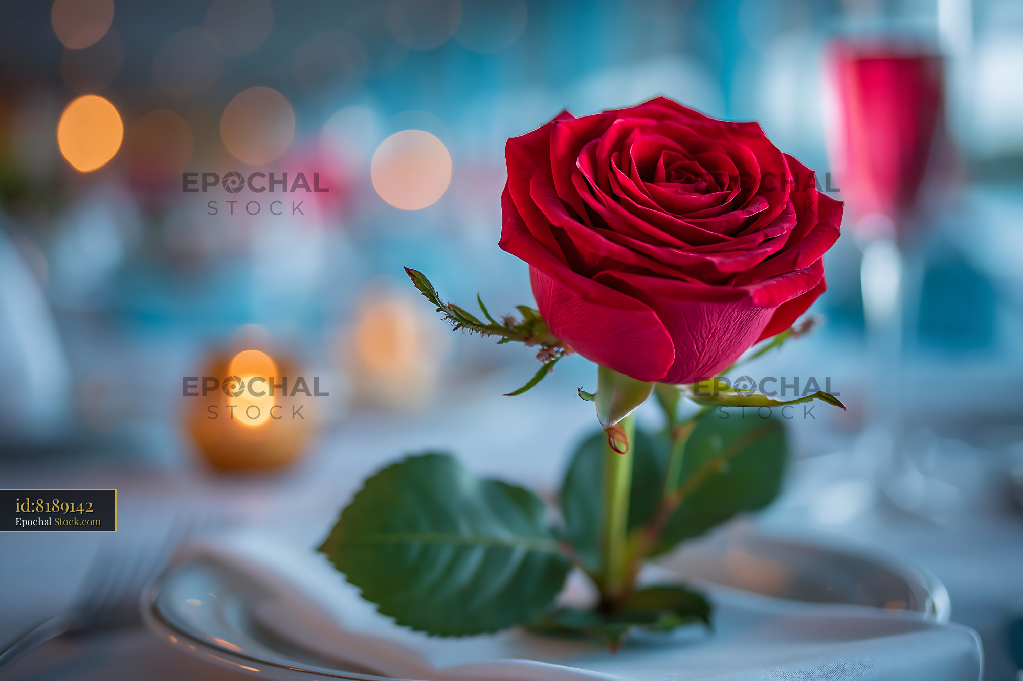 Red rose on a plate at a gala dinner table with bokeh lights