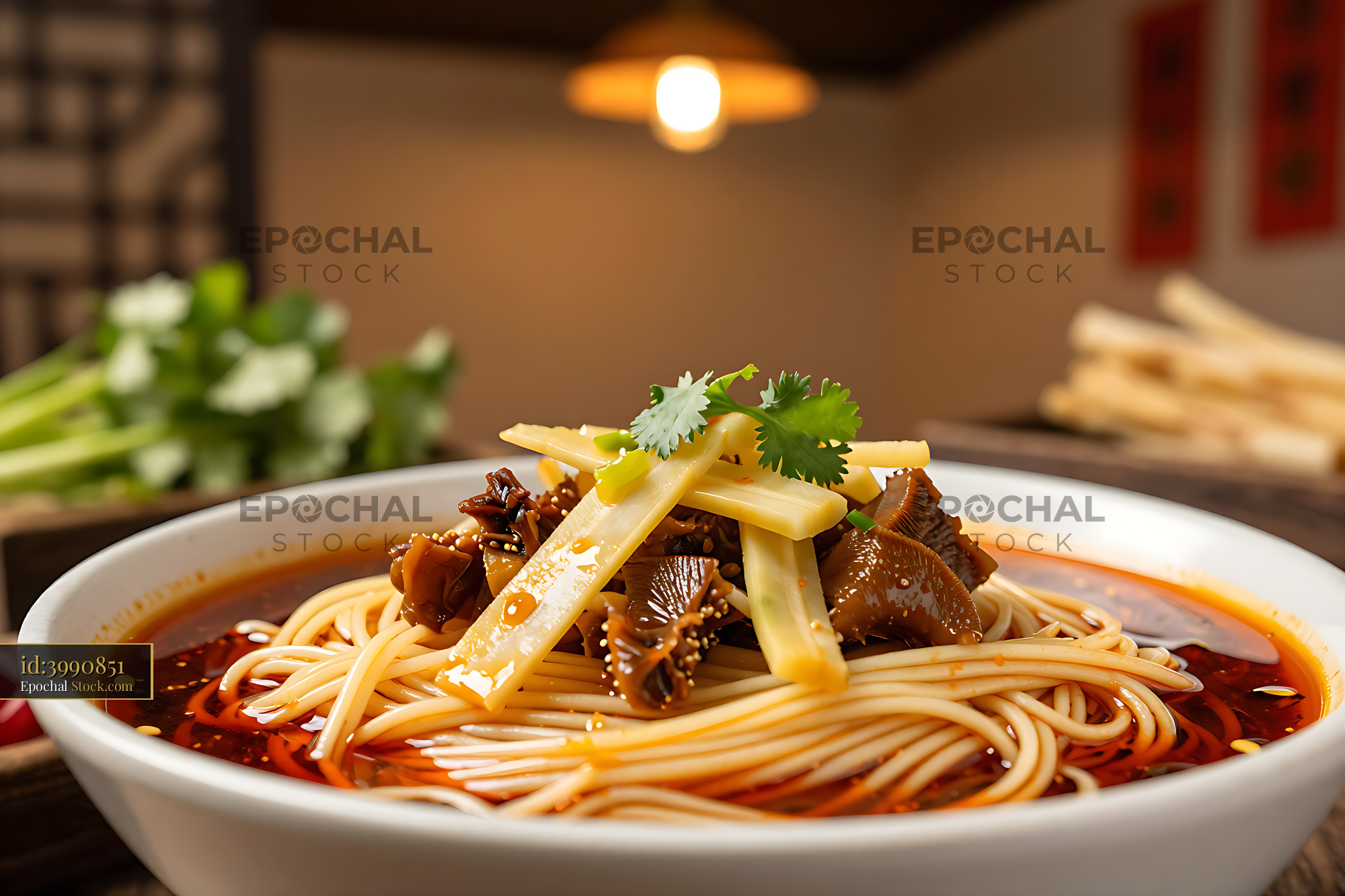Xiangyang Niu Rou Mian spicy beef noodles with bamboo shoots - stock photo