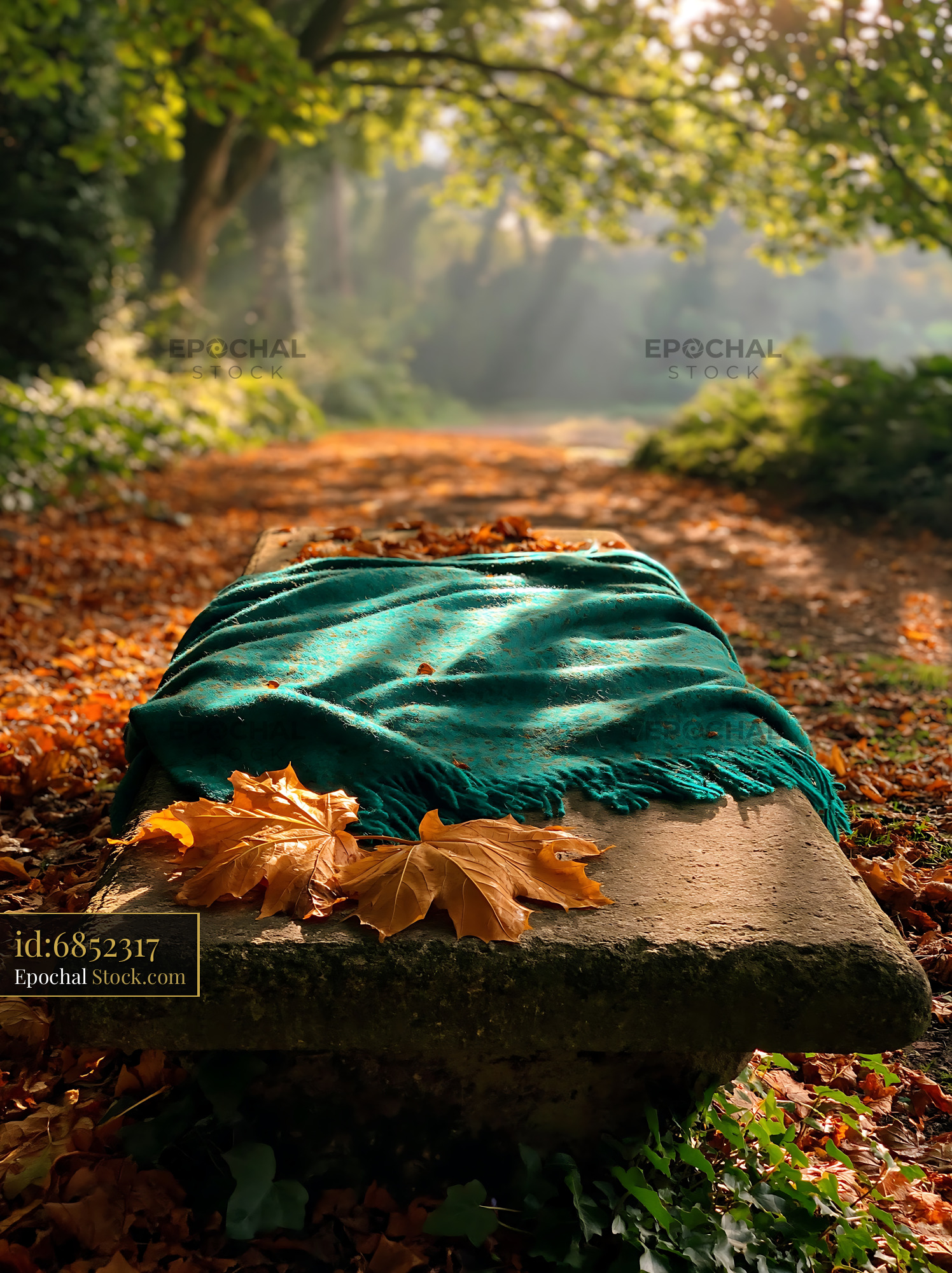 Cottage garden bench with teal blanket and autumn leaves in sunlight