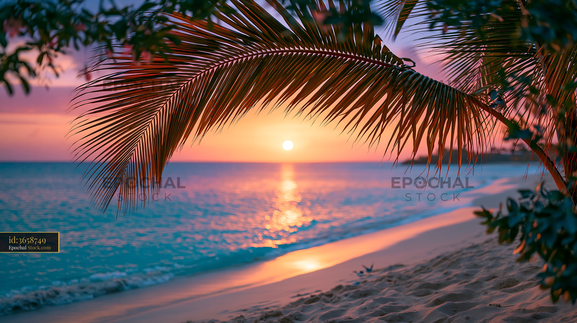 Palm frond framing a vibrant sunset over a tropical beach - stock photo