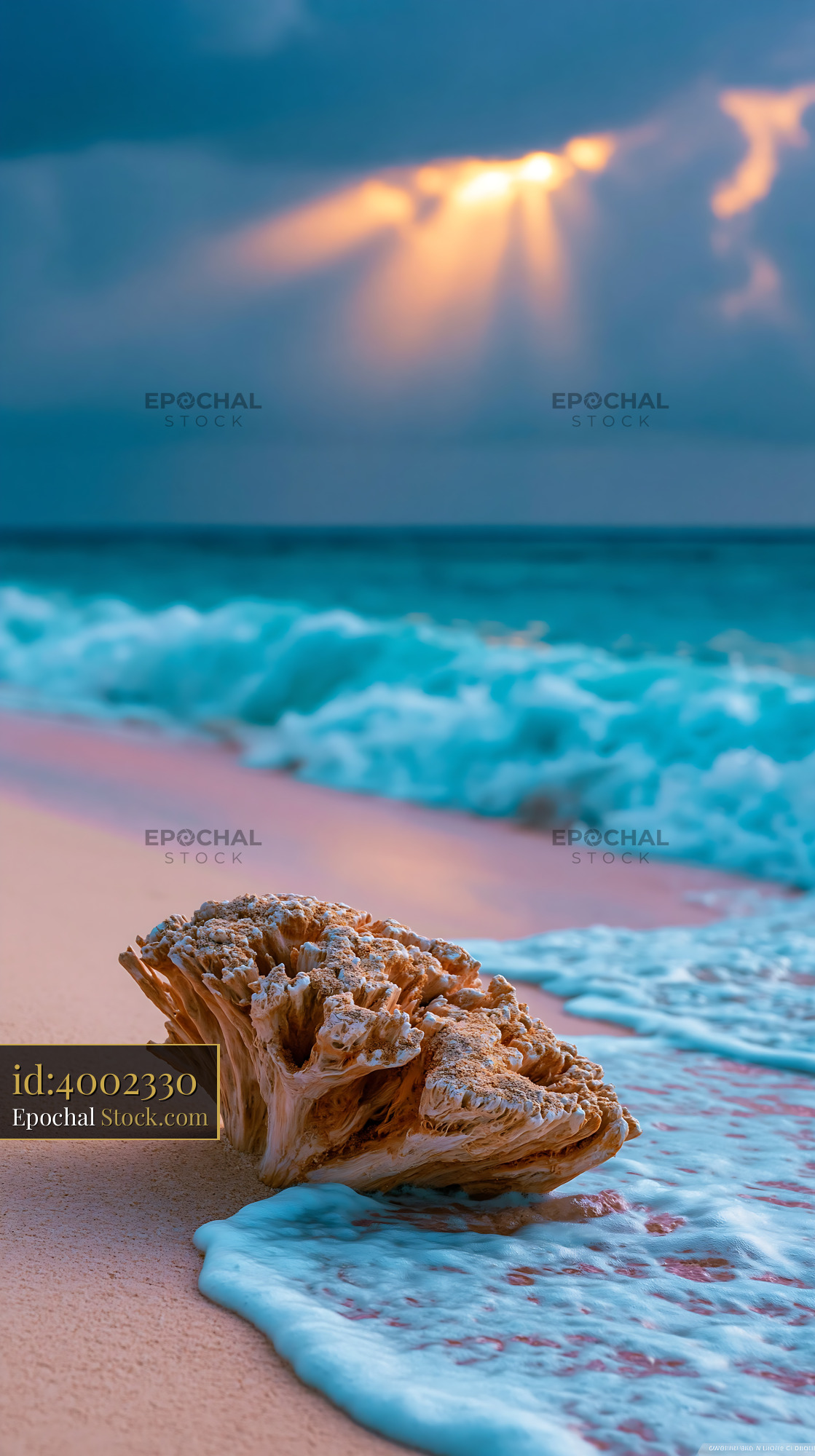 Sea coral on a tropical beach at sunset with golden light rays
