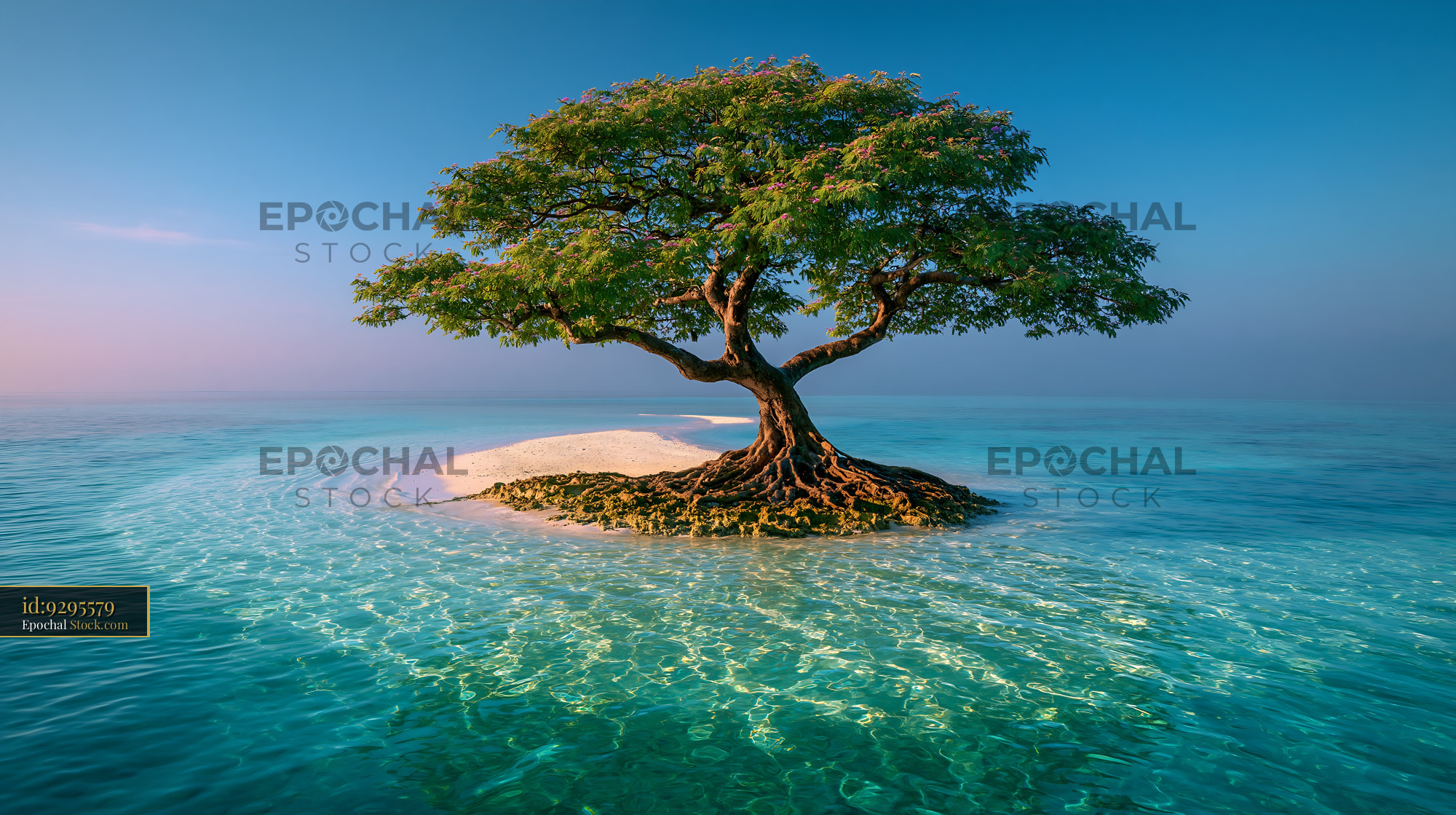 Single tree on a tiny sandbar islet in turquoise tropical water - stock photo