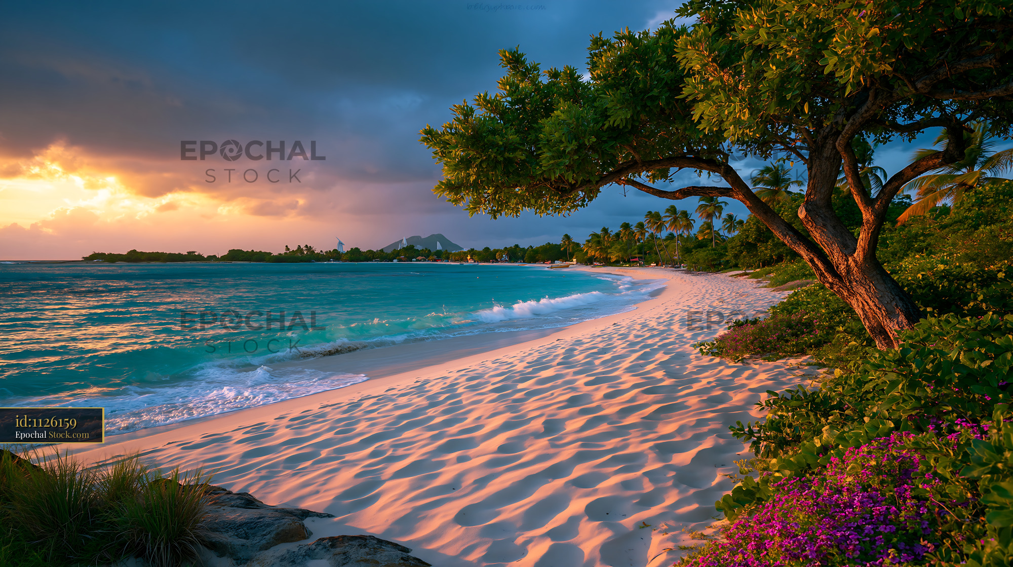 Tropical beach with white sand and leaning tree at golden hour sunset - stock photo