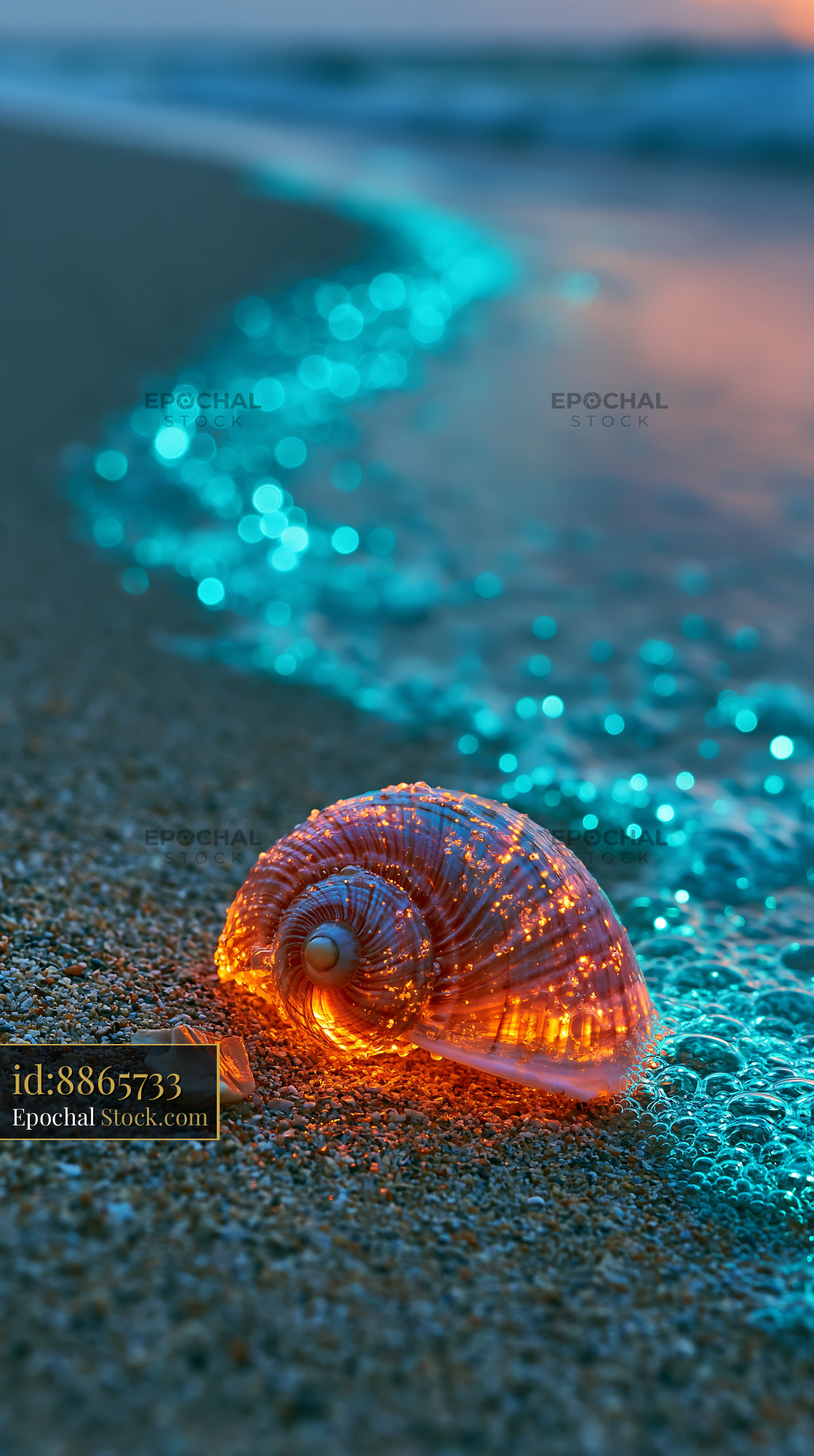 Glowing seashell on a sandy beach with bioluminescent waves at night - stock photo