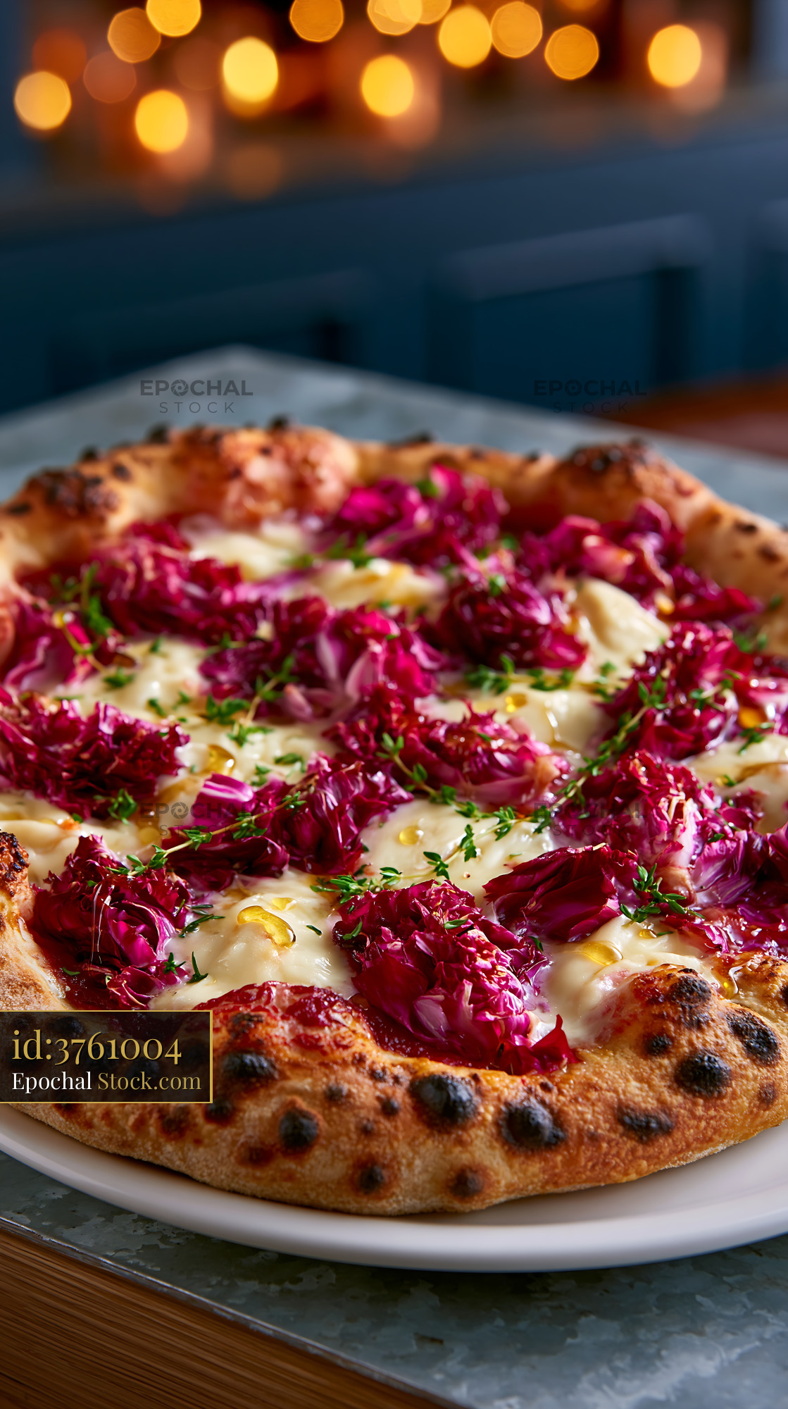 Gourmet Neapolitan pizza with radicchio and taleggio cheese - stock photo