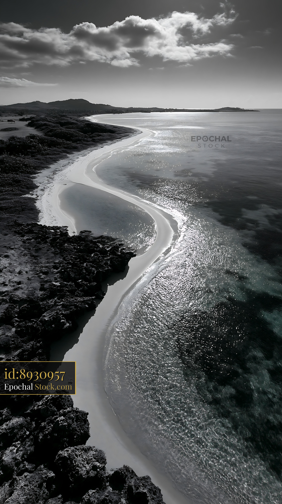 Dramatic black and white aerial view of a curved tropical coastline - stock photo