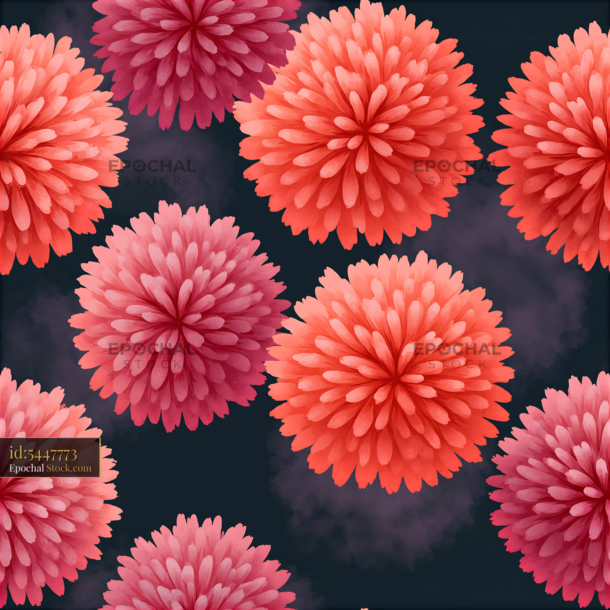 Vibrant Coral Pink Chrysanthemum Floral - stock photo