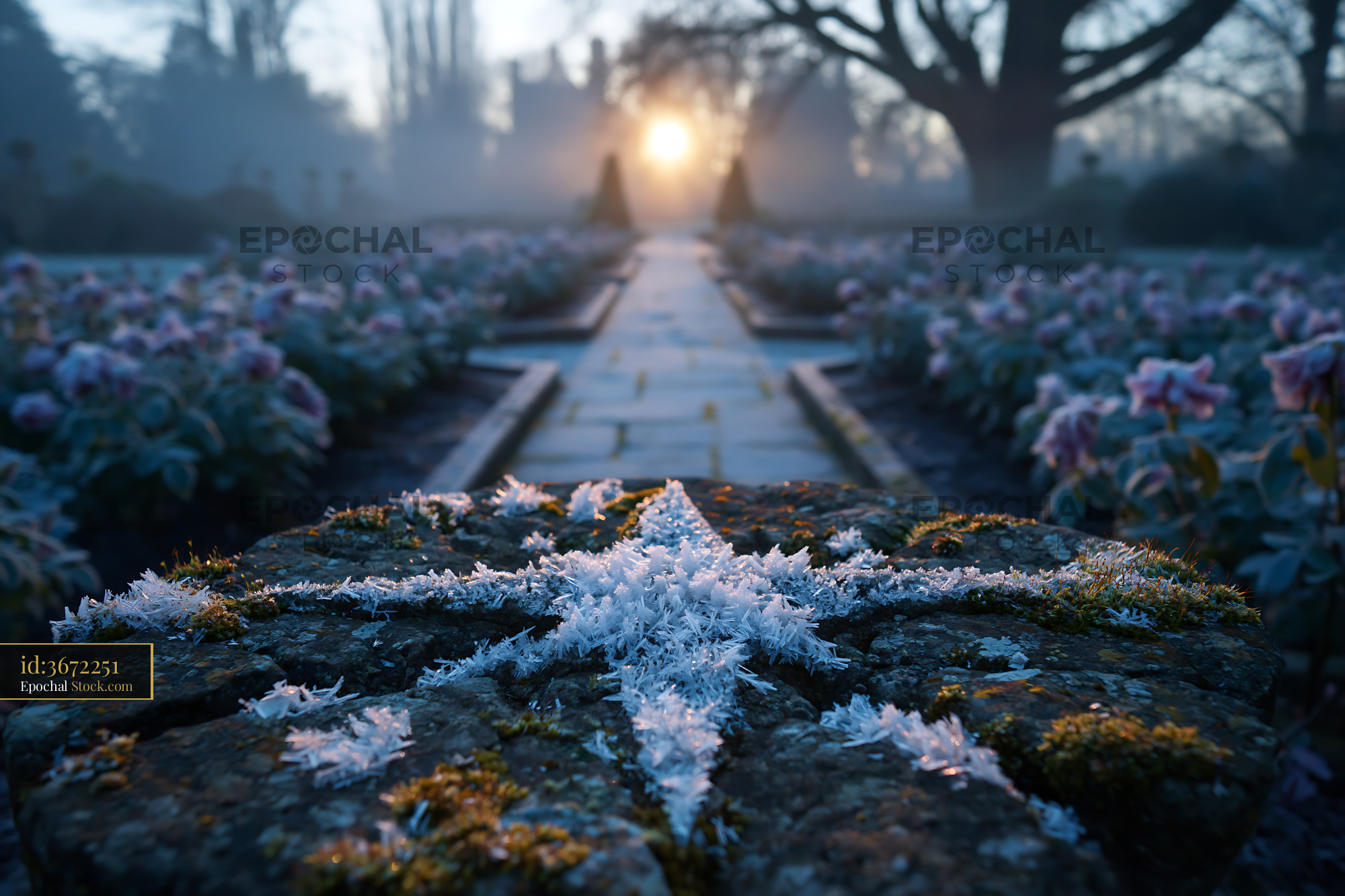 Frost covered stone ornament in a misty English rose garden at sunrise - stock photo