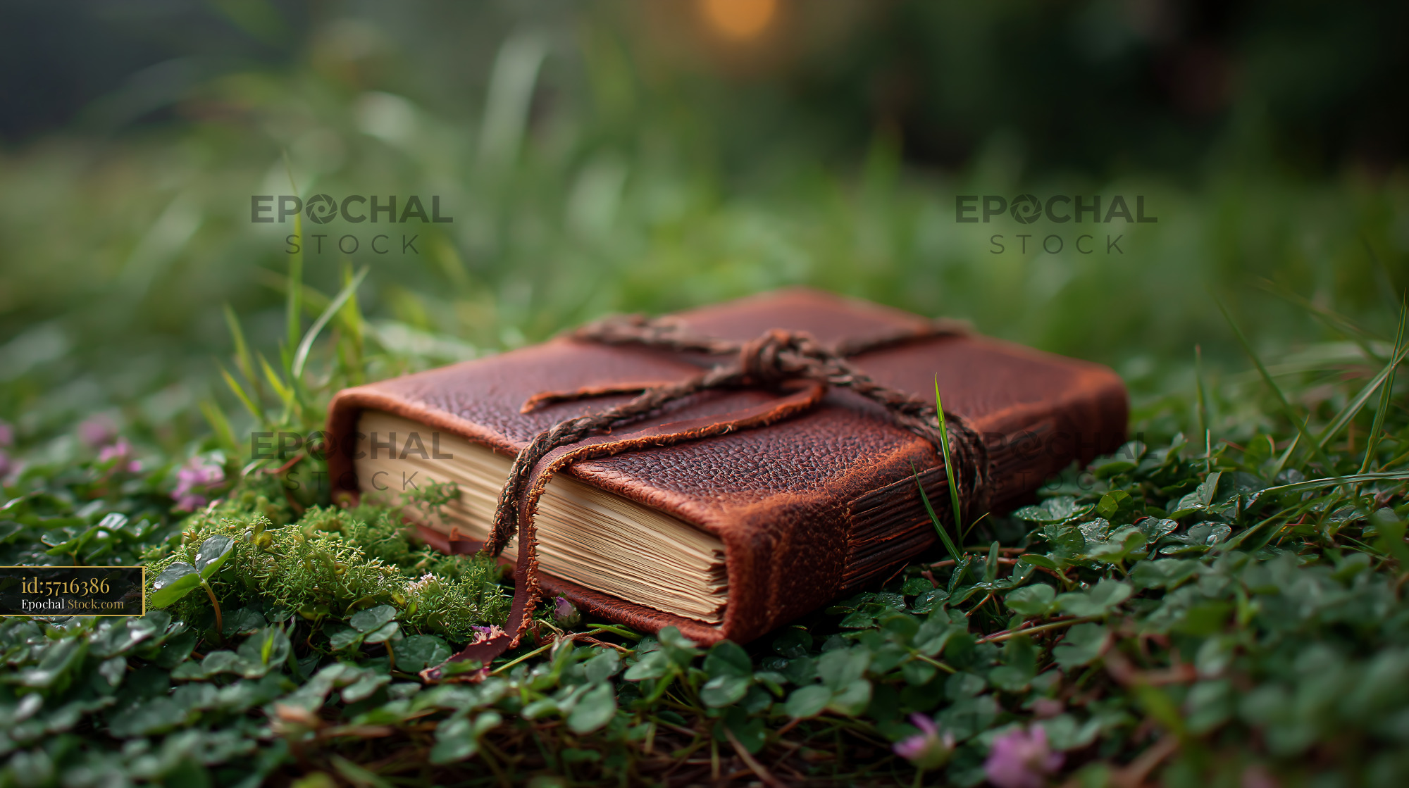 Leather journal tied with cord lying on a lush meadow floor