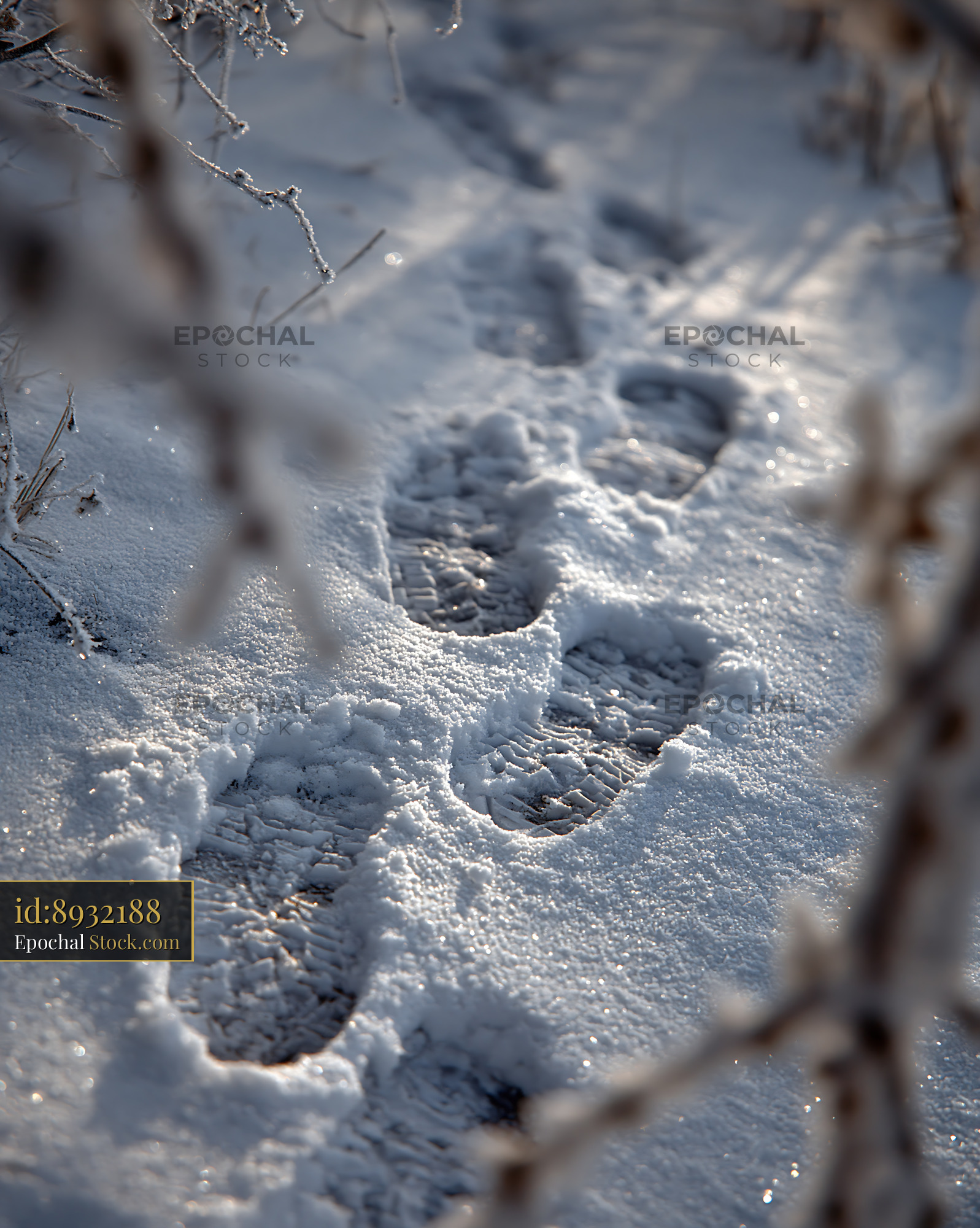 Footprints in deep snow on a bright winter day - stock photo