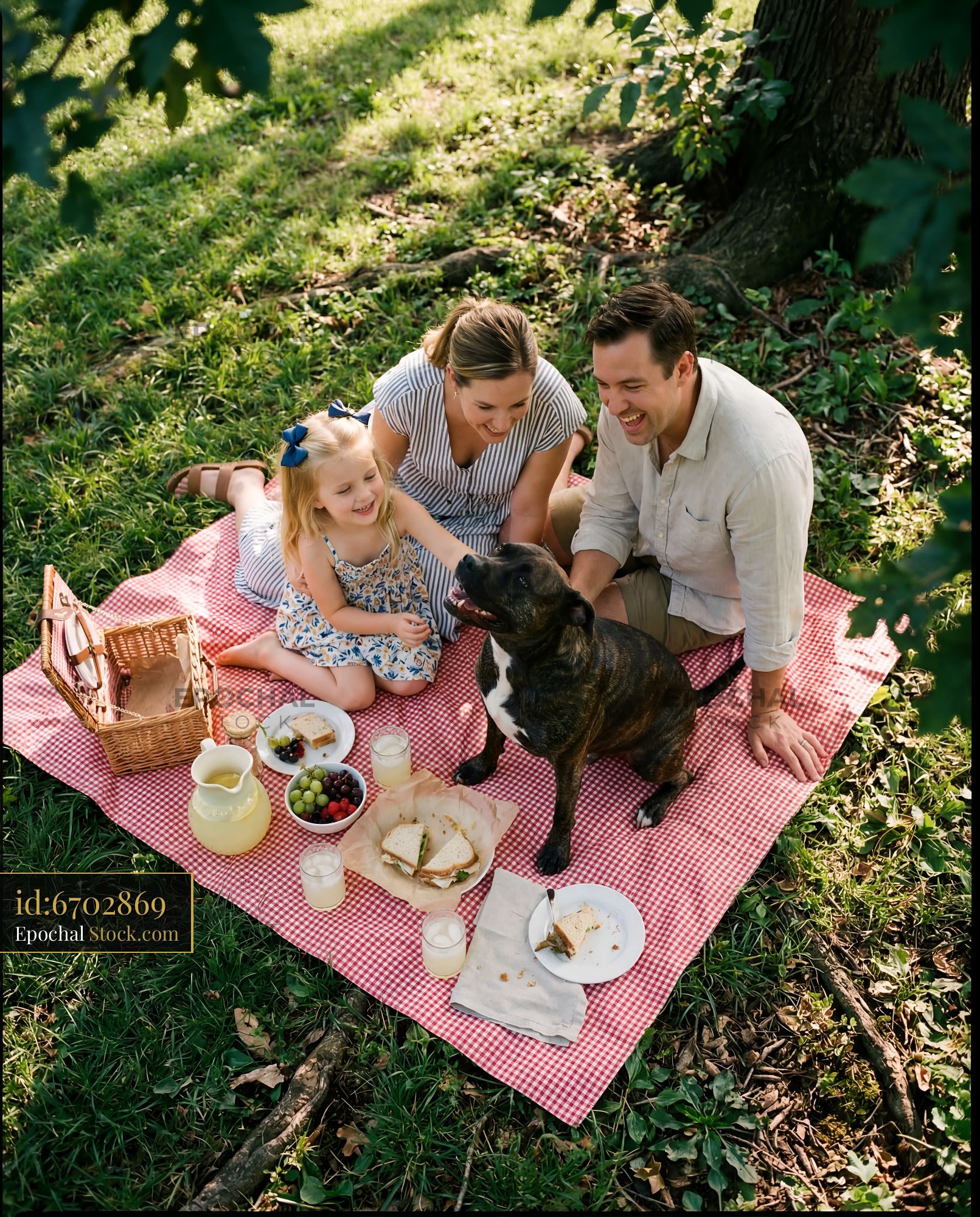 Family enjoys picnic under tree with dog on checkered blanket Premium Stock Photo - stock photo