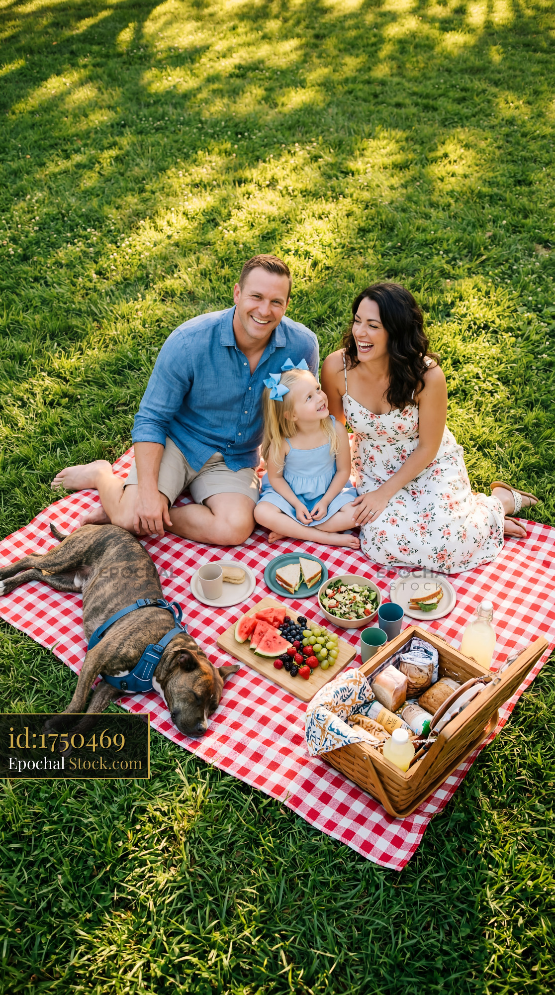 Family enjoys picnic in park with dog on sunny day Premium Stock Image - stock photo