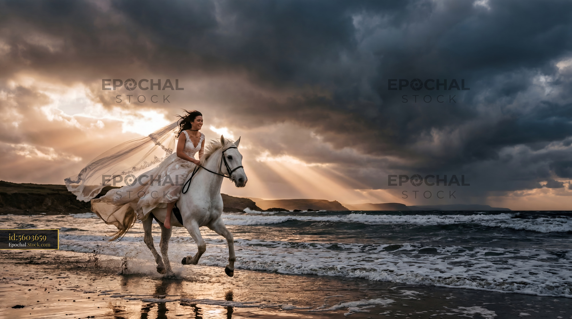 Woman rides white horse on beach during sunset hour Premium Stock Photo - stock photo
