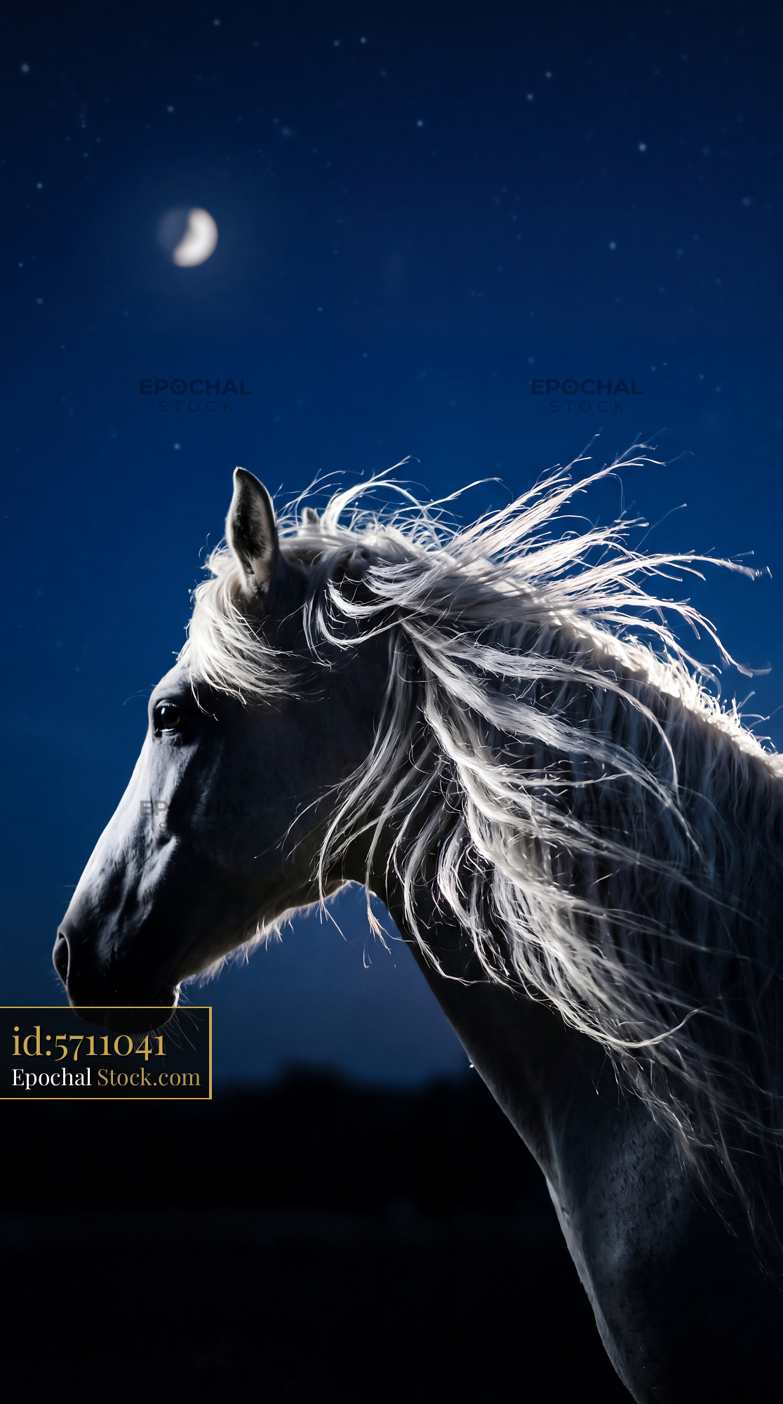 Midnight Silver Glow White Horse Mane - stock photo