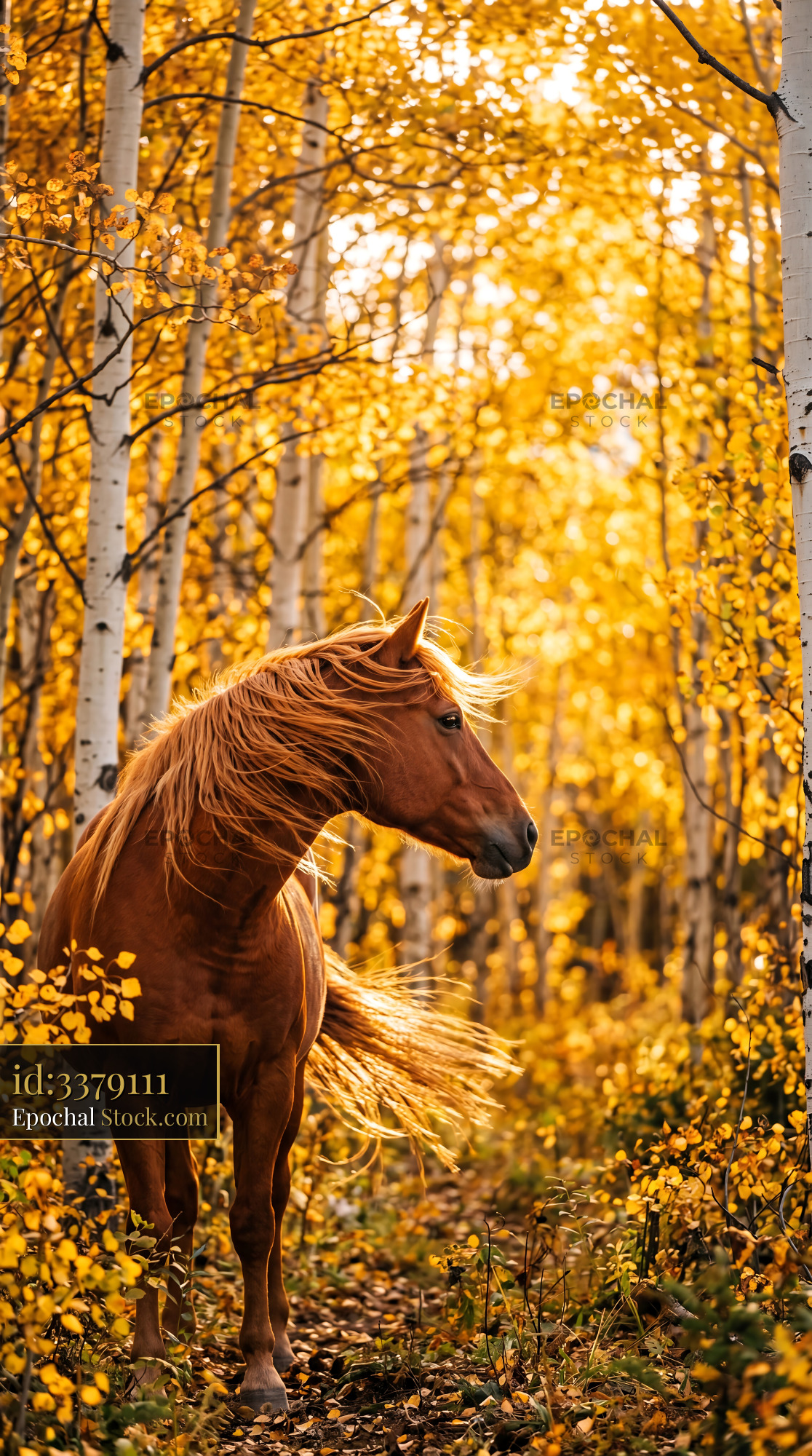 Golden Autumn Horse in Sunlit Aspen Forest - stock photo