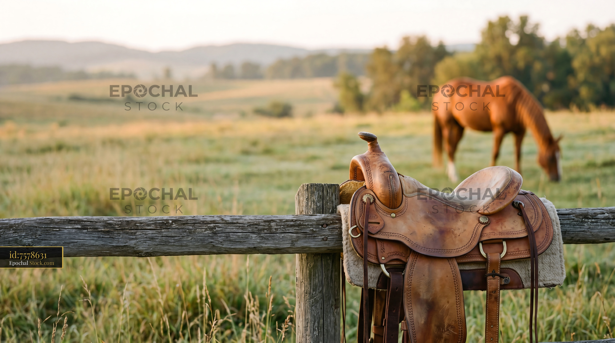 Rustic Ranch Morning Horse and Leather Saddle - stock photo