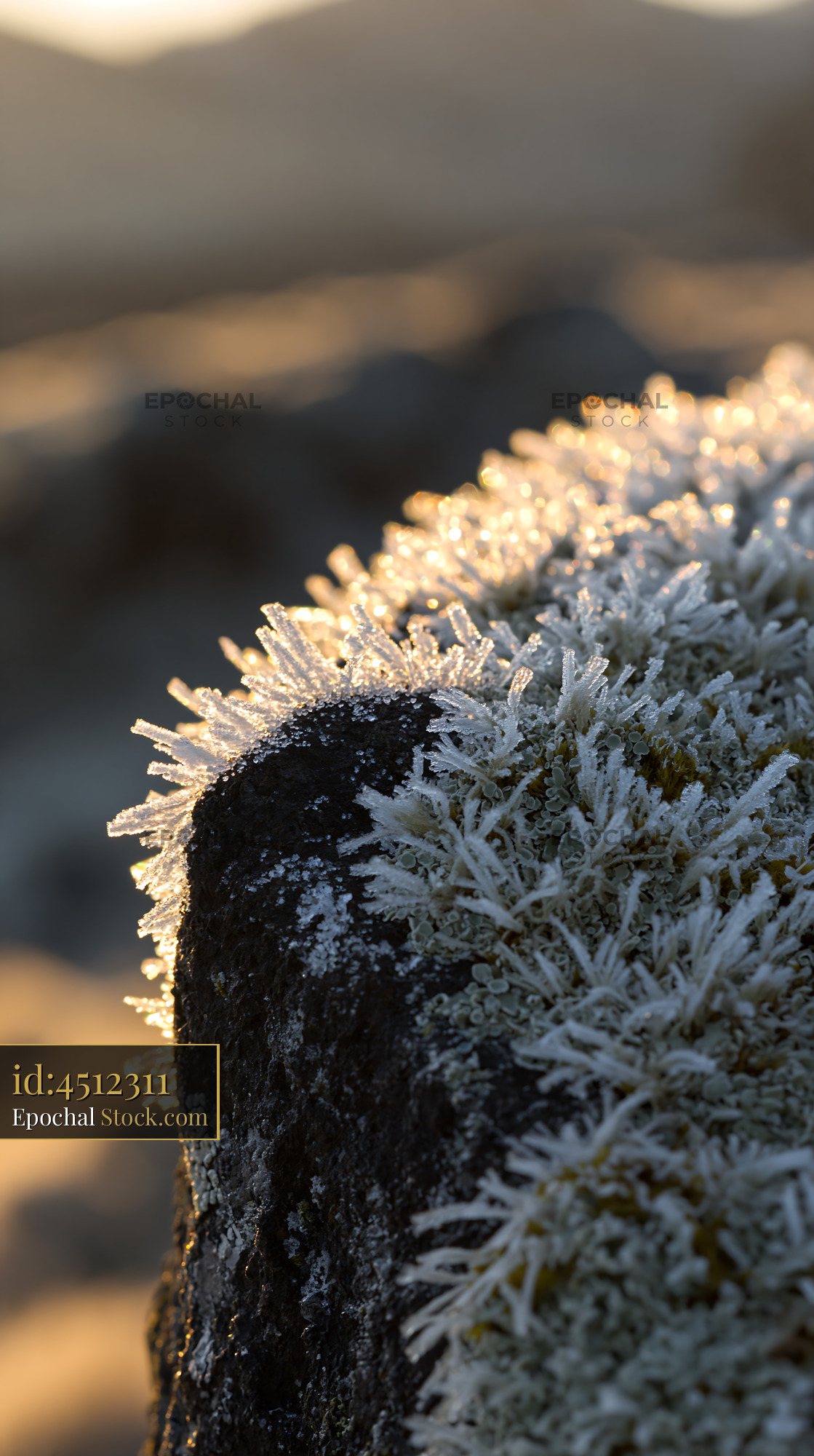 Hoarfrost crystals on a dark rock sparkling in golden morning light - stock photo